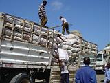 Djibouti - il mercato di Gibuti - Djibouti Market - 61